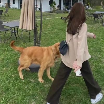 拾遗记