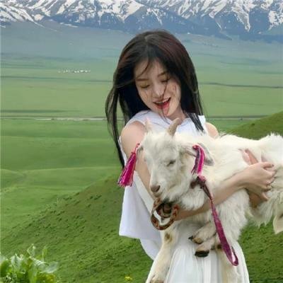 天网行动2019